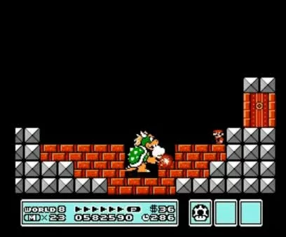 bowser level