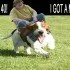 rofl